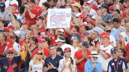 WATCH: Steven Souza Jr. Diving Catch to Save No-Hitter