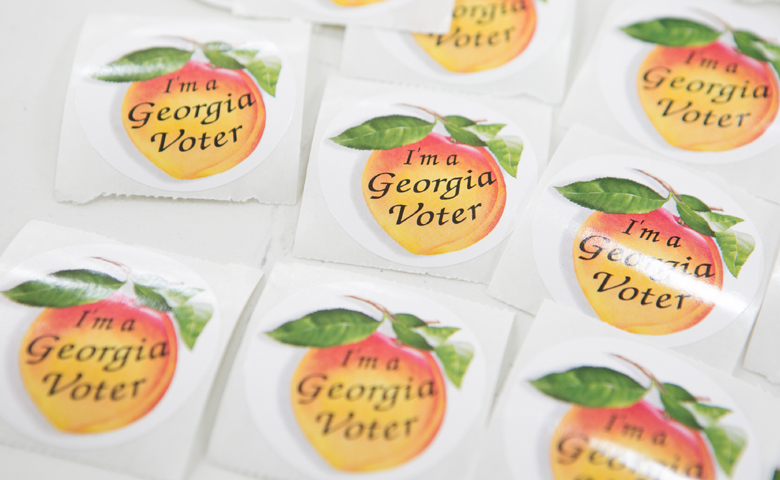 Georgia Senate, Senate elections, midterms, voters, Michelle Nunn, David Perdue
