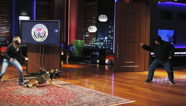 Priority 1 Canine Dogs on Shark Tank: 5 Fast Facts