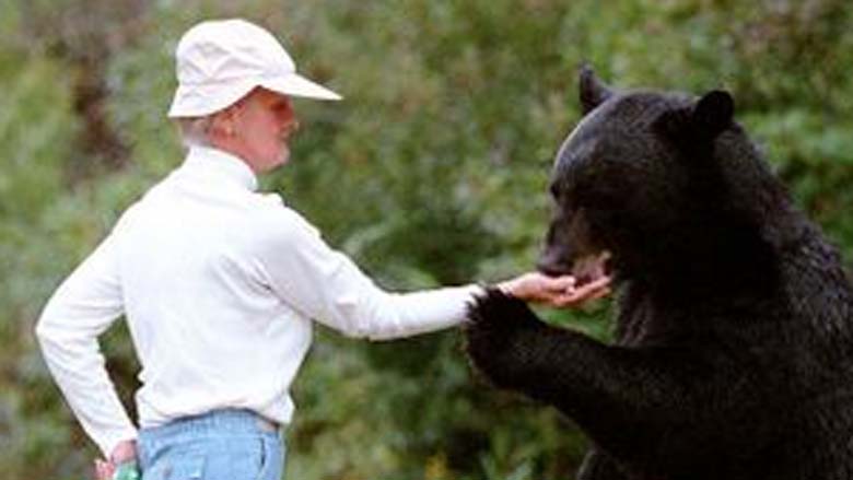 Kay Grayson ‘bear Lady’ Found Dead 5 Fast Facts