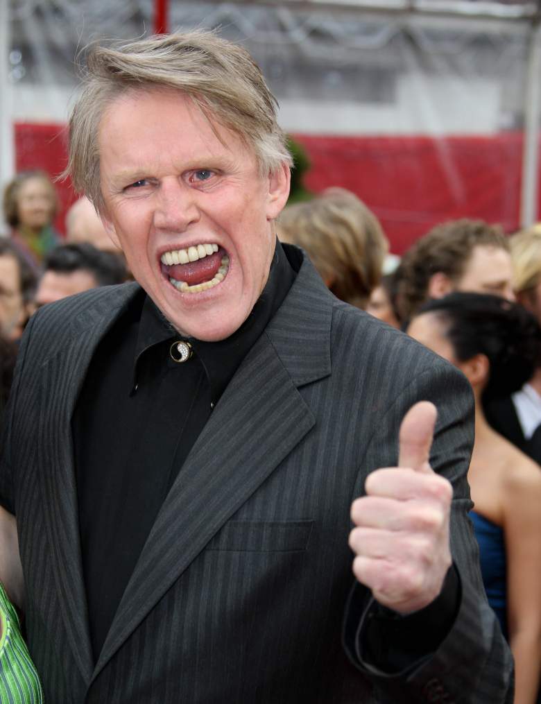 Gary Busey Car Crash: 5 Fast Facts You Need to Know | Heavy.com