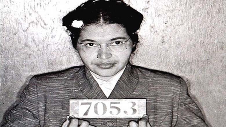 5 important things rosa parks did