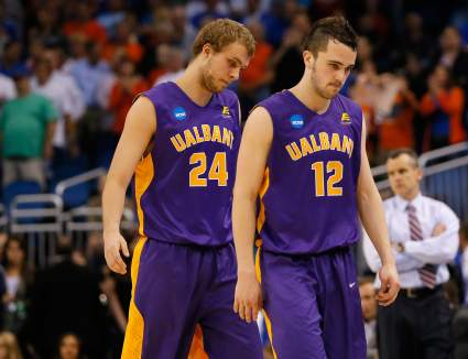 University at Albany Great Danes: 5 Fast Facts You Need to Know