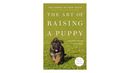 15 Best Dog Training Books: Your Easy Buyer’s Guide (2019) | Heavy.com