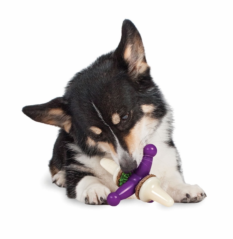 indestructible soft toys for dogs