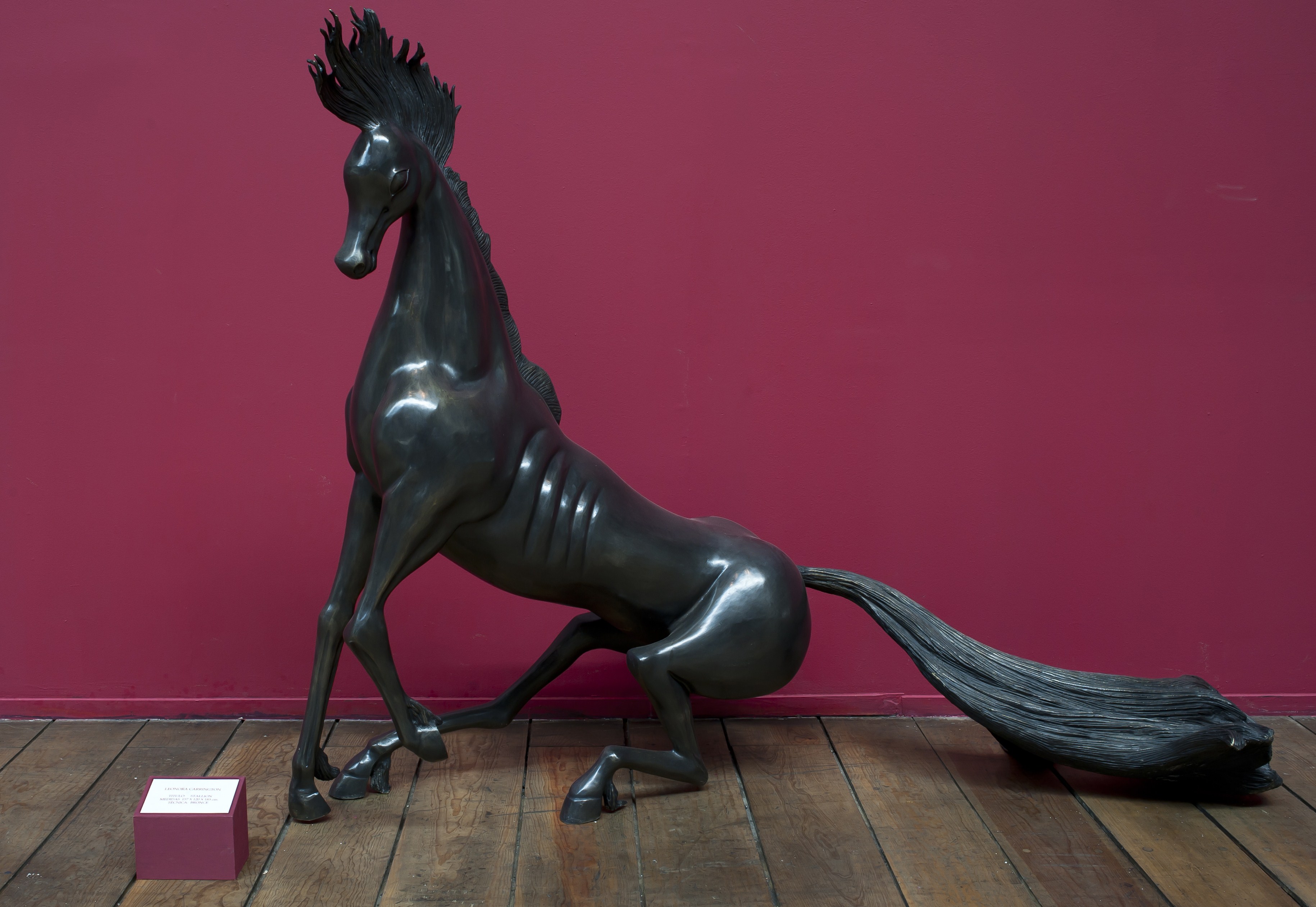 Picture of the sculpture “Stallion" on display at the Estacion Indianilla museum in Mexico City, on April 14, 2011 as part of the exhibition of Mexican sculptor Leonora Carrington. (Getty)