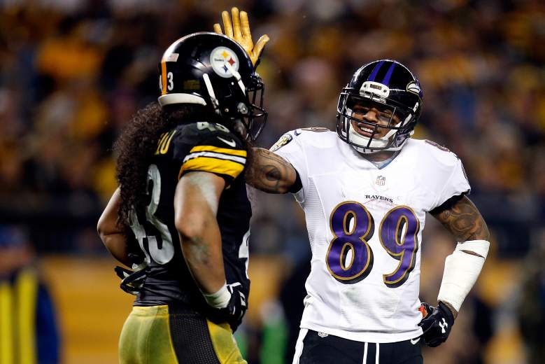 Polamalu standing next to Steve Smith during a 2015 AFC Wild Card Playoff Game against the Baltimore Ravens. (Getty)
