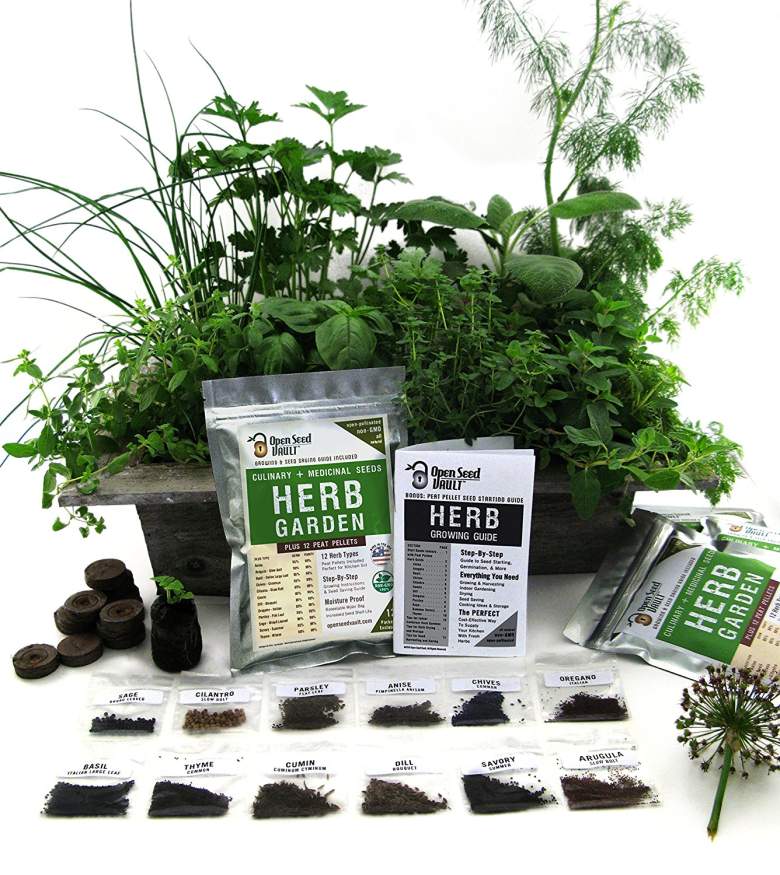  100% NON-GMO Heirloom Culinary and Medicial Herb Kit - 12 popular Easy-to-Grow Herb Seeds by Open Seed Vault - includes 12 seed starting peat pellets! 
