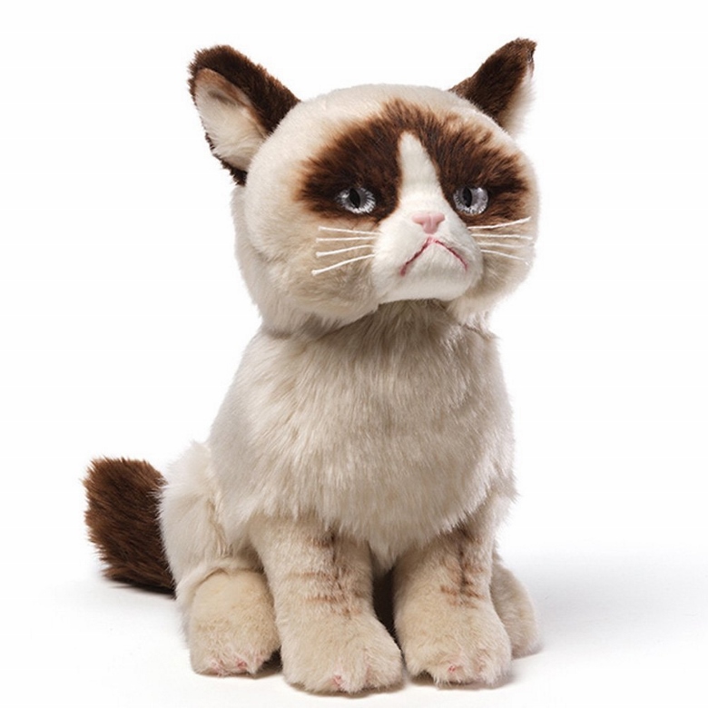 grumpy cat merchandise