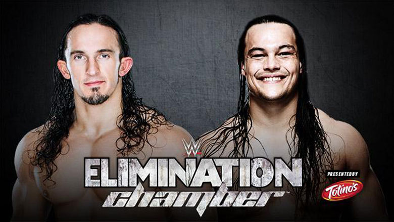 WWE Elimination Chamber 2015 