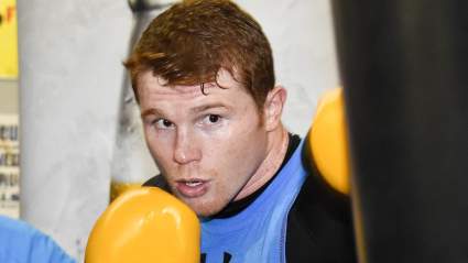 When Is Canelo Alvarez’s Next Fight?