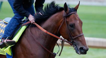 American Pharoah: 5 Fast Facts You Need to Know