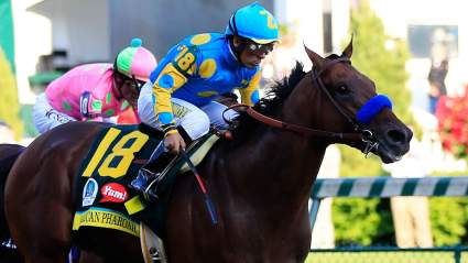 Belmont Stakes 2015: Updated Field, Contenders & Early Picks