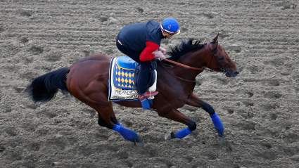 Preakness 2015: Prop Bets, Head-to-Head Odds & Lines