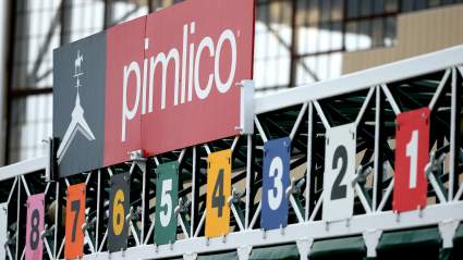 How to Watch the 2015 Preakness Stakes Live Stream Online