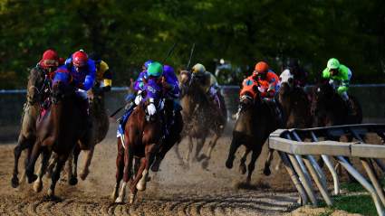 Preakness 2015: Contenders, Dark Horses & Long Shots
