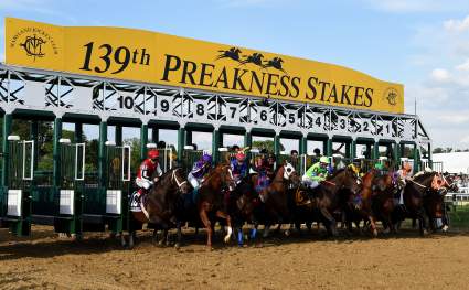 Preakness 2015: Entries, Post Positions & Starting Gate