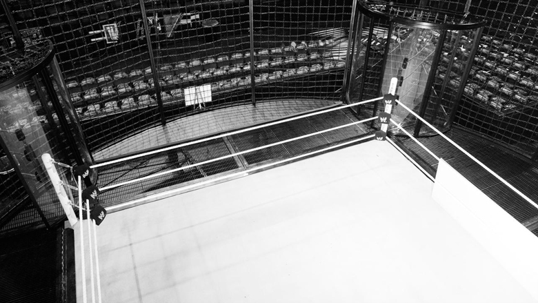 WWE Elimination Chamber 2015