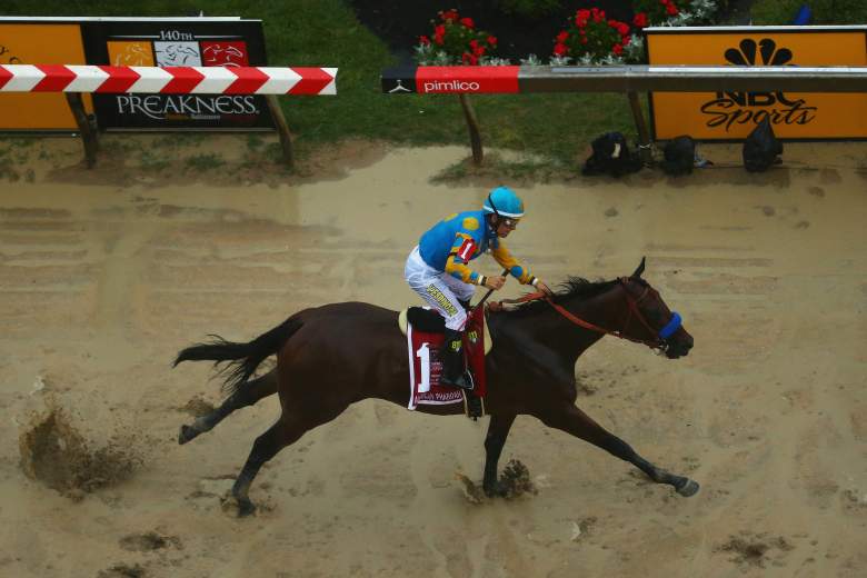 American Pharoah is looking to become the first Triple Crown winner since 1978. (Getty)