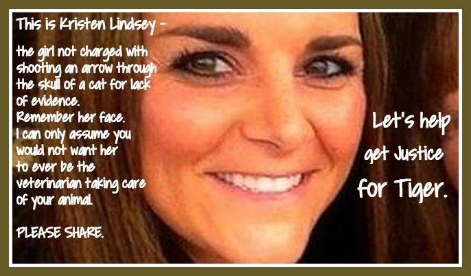 (Facebook/ Police In Texas Prosecute Kristen Lindsey For Animal Cruelty)