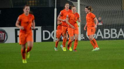 How to Watch New Zealand vs. Netherlands Live Stream Online