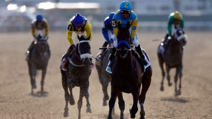 Belmont Stakes 2015: Winner, Payout, Results & Highlights