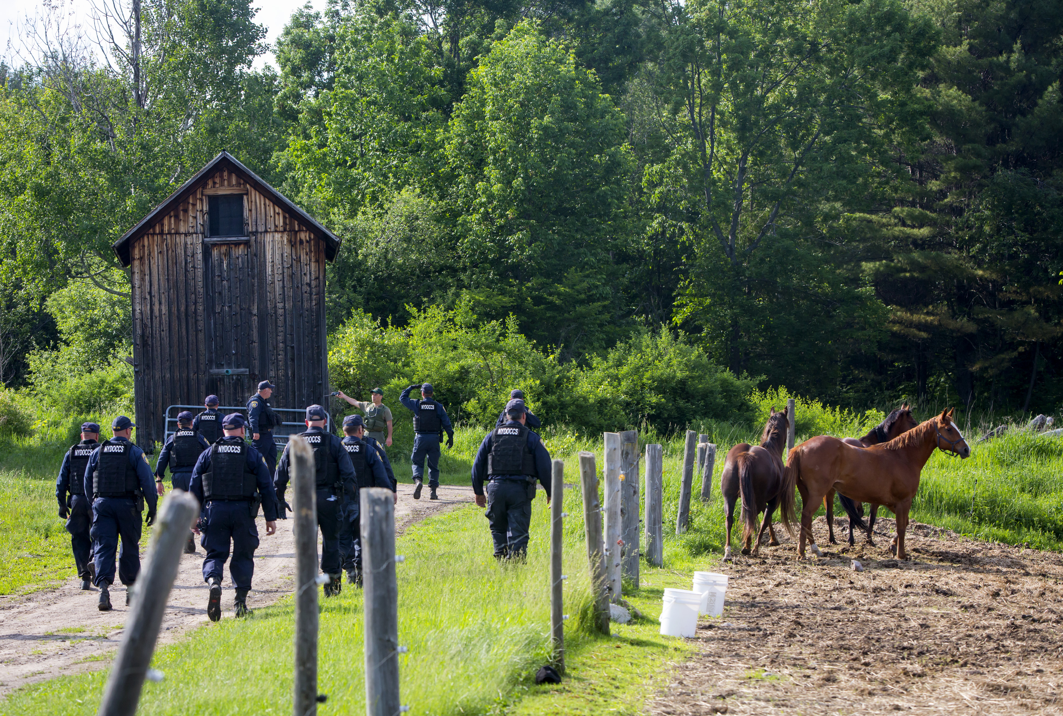 Police search the area around the Clinton Correctional Facility for David Sweat and Richard Matt. (Getty)