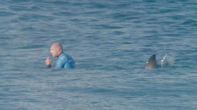 Mick Fanning, Mick Fanning shark attack, australia surfer shark attack, australia surfier attacked by shark video