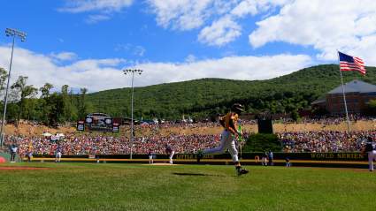 What Teams Are in the Little League World Series 2015?