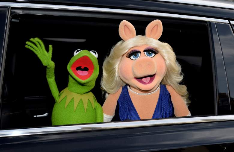 Kermit the Frog, Miss Piggy, Miss Piggy And Kermit the Frog Split, Miss Piggy And Kermit the Frog Break Up, Kermit the Frog And Miss Piggy Broken Up