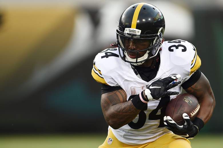 DeAngelo Williams was added to the backfield rotation in Pittsburgh this offseason. Getty)