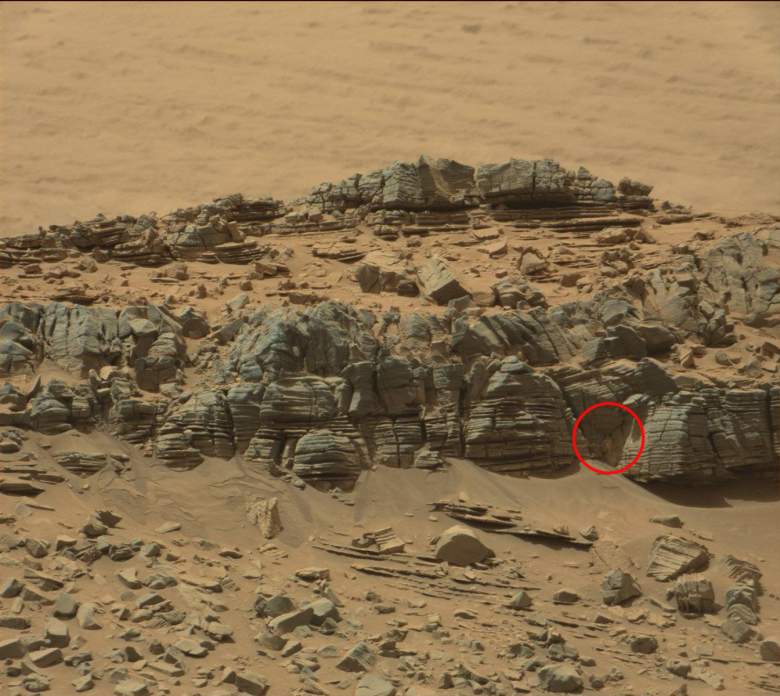 Did NASA Find an Alien Crab on Mars? 5 Fast Facts | Heavy.com