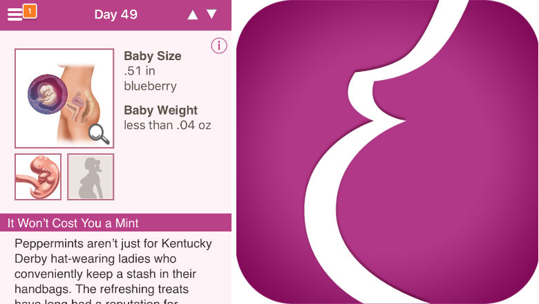 How to Use Baby Bump Pregnancy App 