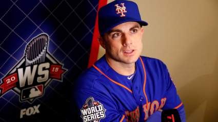 David Wright: 5 Fast Facts You Need to Know