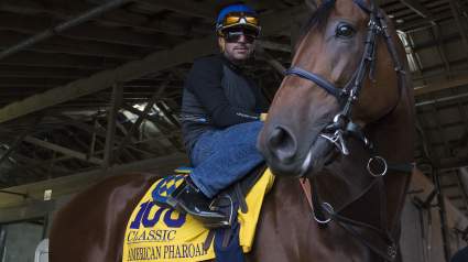 Breeders’ Cup 2015: Schedule & Complete List of Races