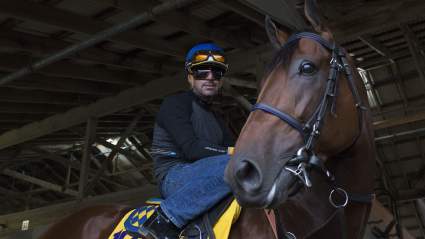 Breeders Cup Classic 2015: Time & Channel