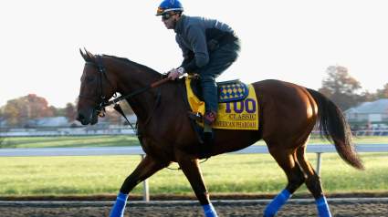 How to Watch Breeders’ Cup 2015 Live Stream Online for Free