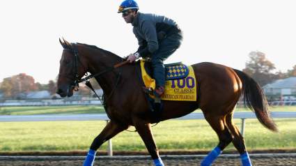 WATCH: American Pharoah Wins Breeders’ Cup Classic