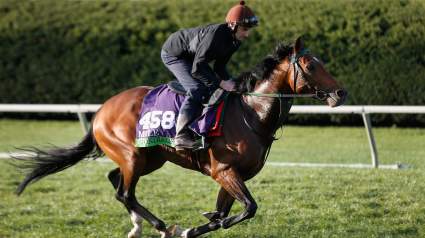 Breeders’ Cup Classic 2015: Entries, Odds & Post Positions