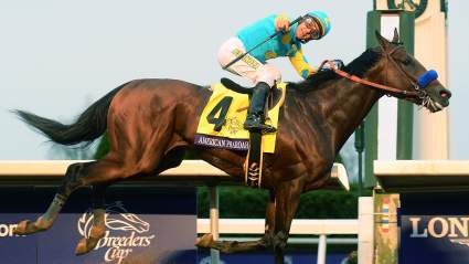Breeders’ Cup Classic Results: Winner, Betting Payouts