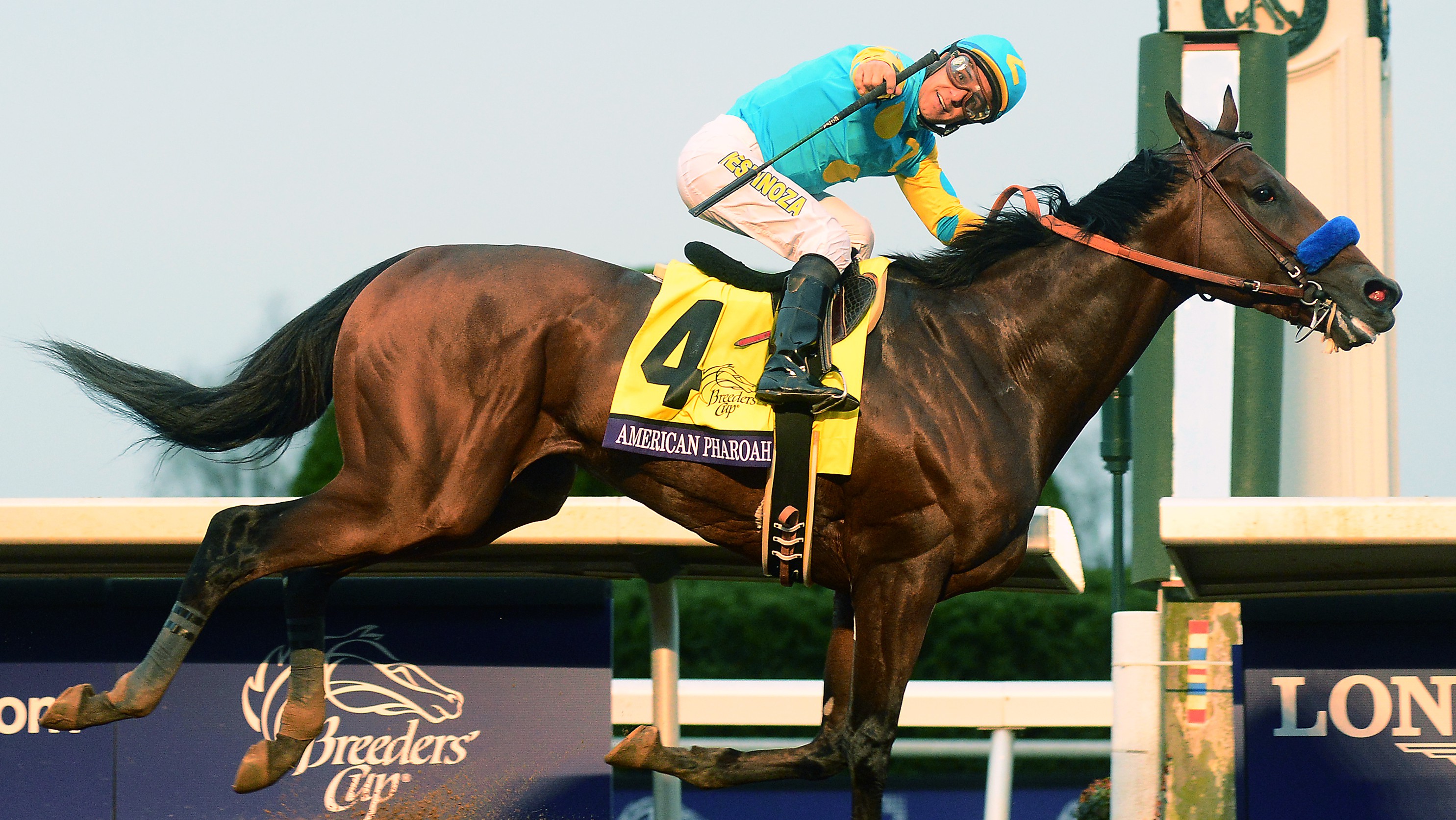 Breeders' Cup Classic Results Winner, Betting Payouts