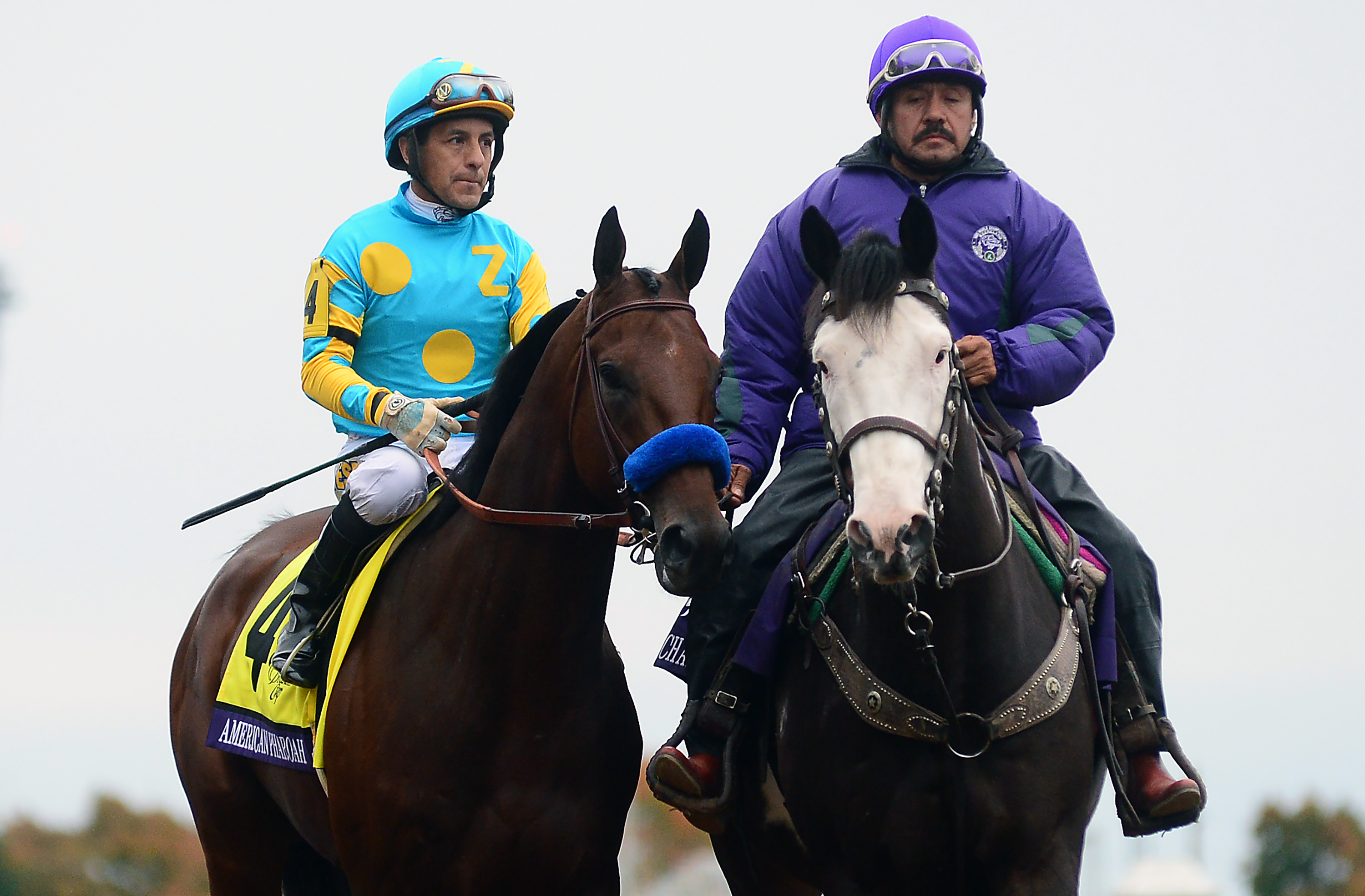 Breeders’ Cup Classic Results Winner, Betting Payouts