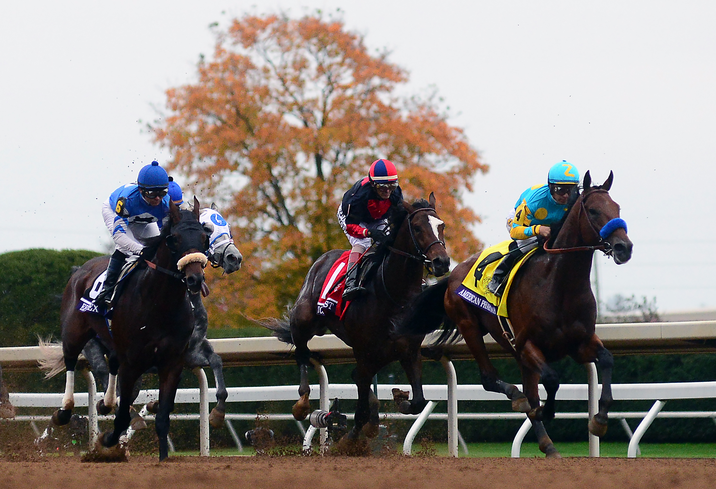 Breeders’ Cup Classic Results Winner, Betting Payouts