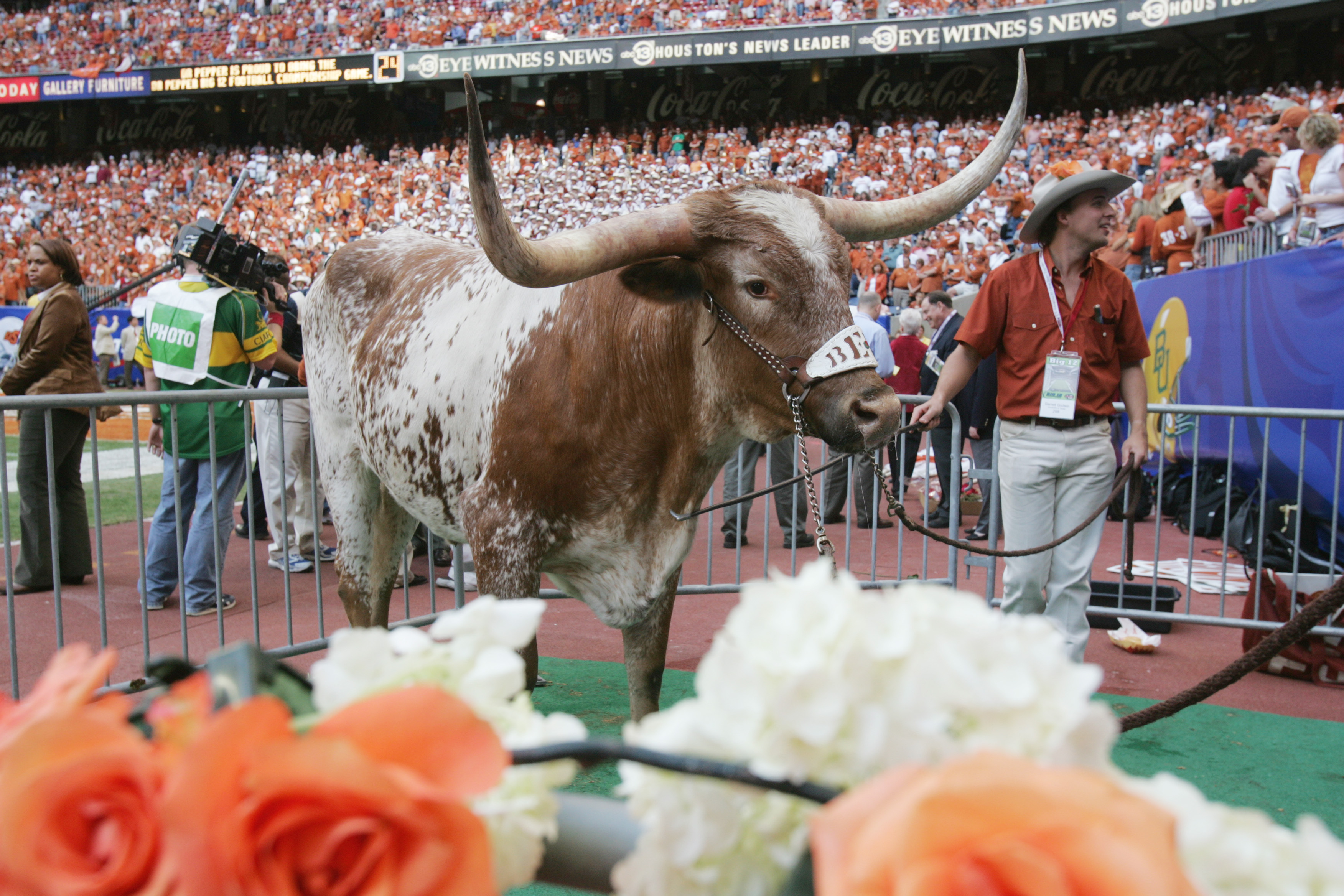 University Of Texas Longhorns Mascot