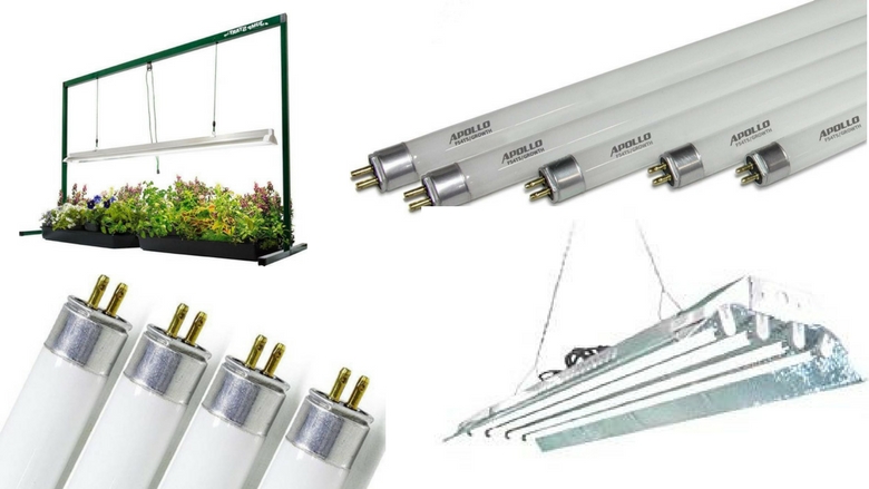 best grow lights for seedlings 2020