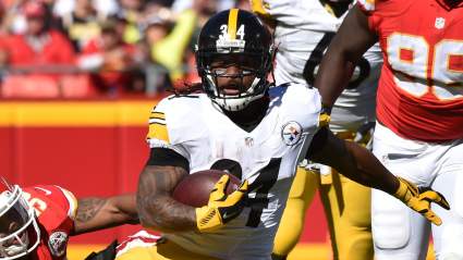 Fantasy Football Rankings 2015: Running Backs Week 9 NFL