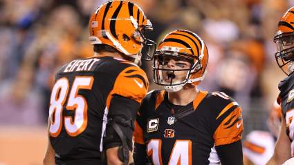 How to Watch Bengals vs. Texans Free Live Stream Online