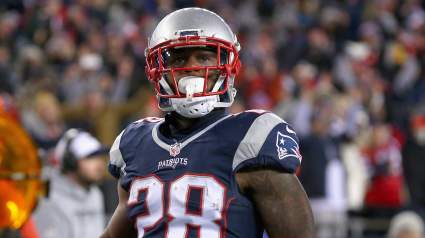 James White Week 15 Fantasy Value vs. Titans