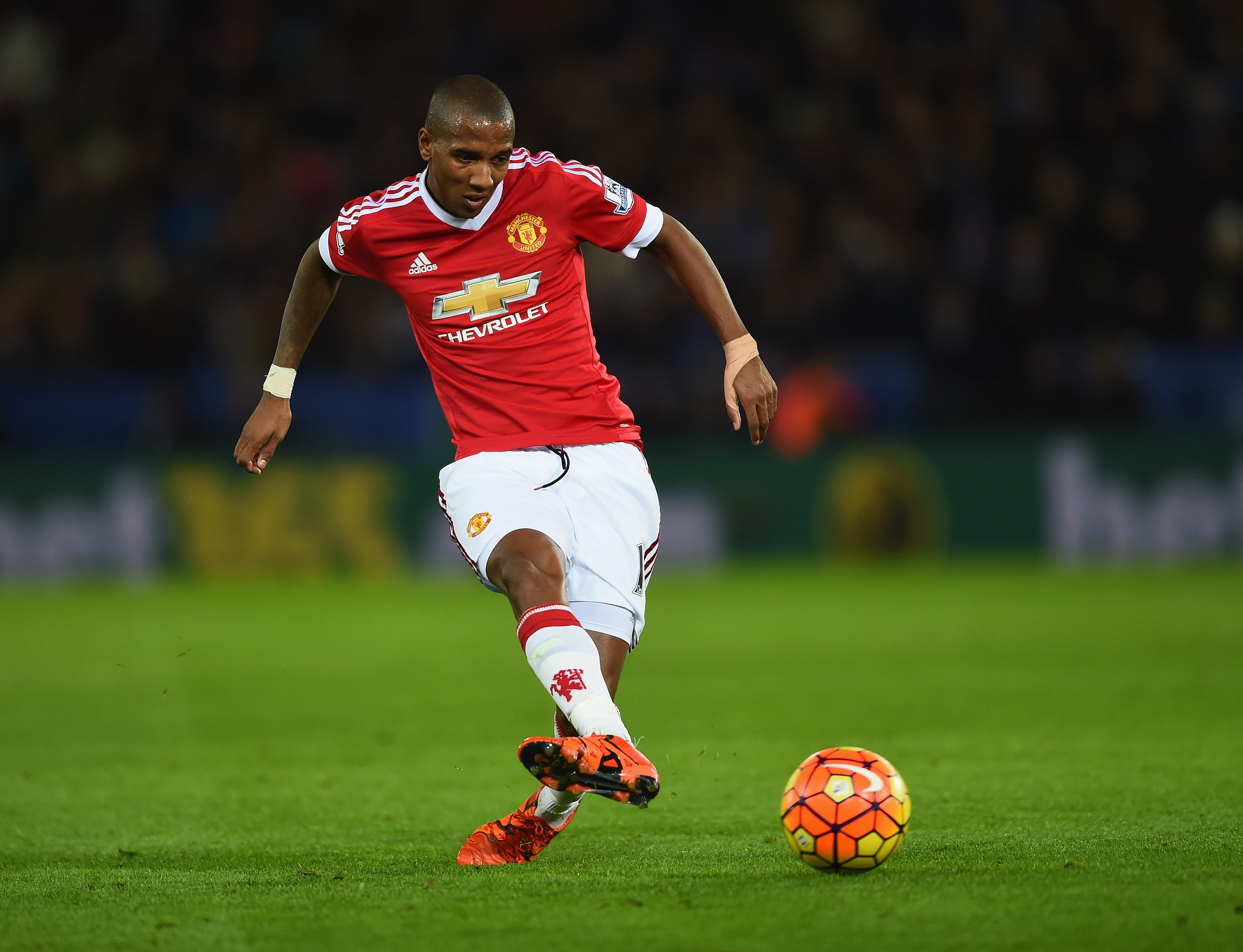 ashley young, young united, manchester united ashley young