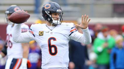 Lions – Bears Live Stream: How to Watch Online